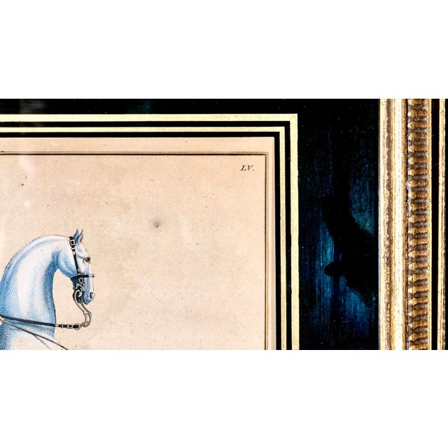 Mid 20th Century Mid 20th Century Pair of Engravings After Baron Friedrich Wilhelm Von Eisenberg "Le Joli" and "Le General" in Handsome Vintage Frames For Sale - Image 5 of 11