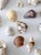 Vintage Collected Seashell Collection For Sale - Image 10 of 17