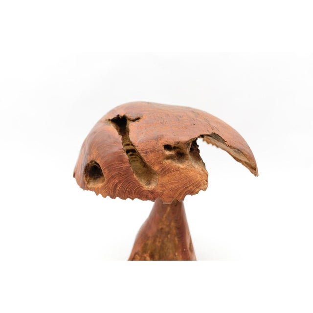 Large Mid-Century Modern Mushroom, 1960s For Sale - Image 13 of 16