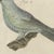 Bertuch, Tanagers and Java Sparrow Songbirds, 1805, Print For Sale - Image 4 of 12