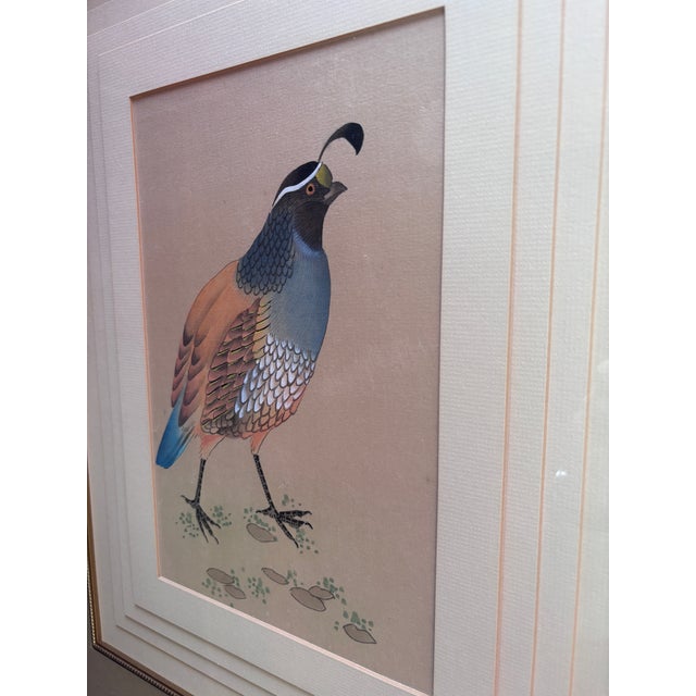 Early 21st Century Original Vintage California Field Quail … 5 Mat Framed Drawing Under Glass For Sale - Image 5 of 12