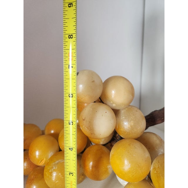 Extra Large Yellow Alabaster Grapes For Sale - Image 10 of 12