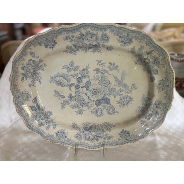 Barker Brothers & Cie Mid 19th Century Asiatic Pheasant Platter For Sale - Image 4 of 14