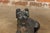 J.W. Fiske & Company J.W Fiske Iron Greyhound Dog Sculptures, Late 19th Century New York, a Pair For Sale - Image 4 of 12
