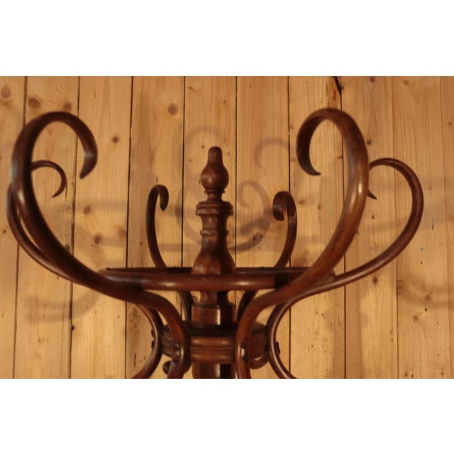 Late 19th Century Parrot Coat Rack from Fischel, 1890 For Sale - Image 5 of 12