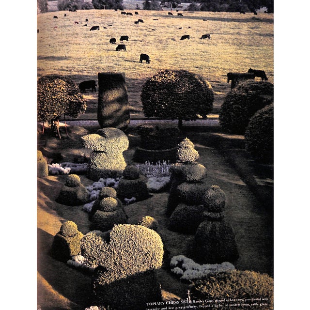 "Horst: His Work and His World" 1984 Lawford, Valentine For Sale - Image 10 of 10