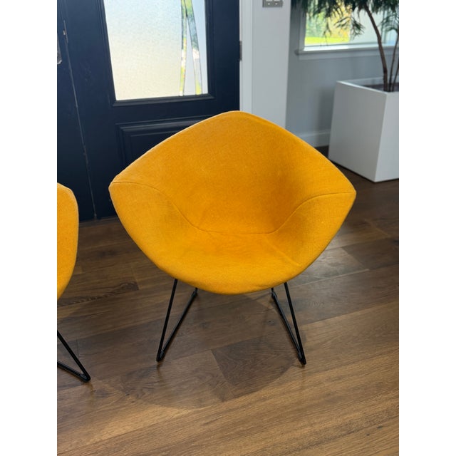 Mustard Vintage Harry Bertoia for Knoll Diamond Chairs in Original Mustard Upholstery — Pair For Sale - Image 8 of 15
