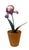 Late 20th Century French Porcelain Flower in Terracotta Pot For Sale - Image 5 of 11