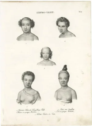Inhabitants of Tonga Tabu, 1836, Paper