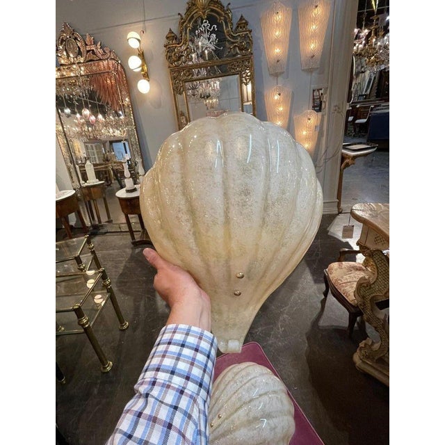 Murano Shell Form Sconces - a Pair For Sale - Image 4 of 7