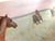 Textile Iceland Horses Landscape Original Painting on Canvas by Valeriya Serova For Sale - Image 7 of 9