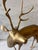 Metal Large Vintage Solid Brass Stag For Sale - Image 7 of 8