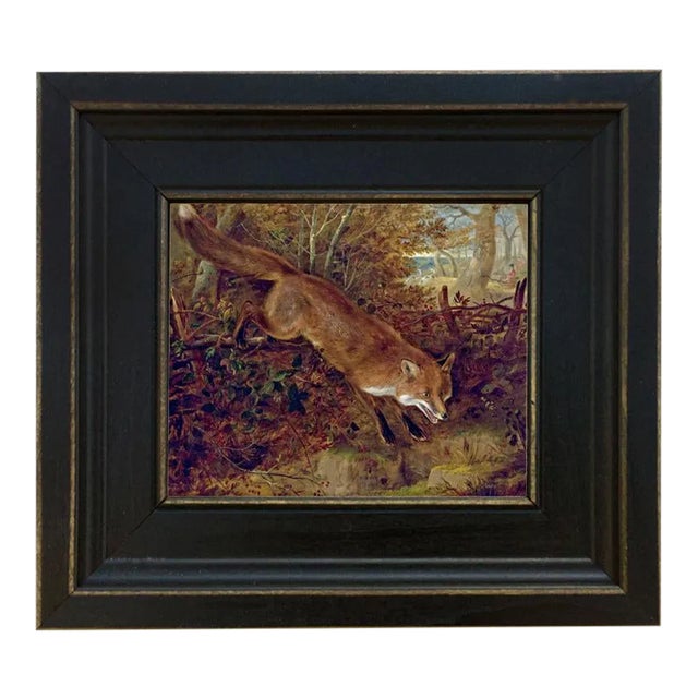 Fox Breaking for Cover by William Webb Framed Print on Canvas, Distressed Black Wood Frame For Sale