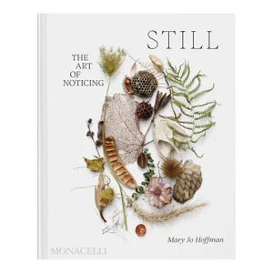 Still: The Art of Noticing Book
