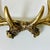 Plastic Vintage Rustic Adirondack Arts & Crafts Faux Antler Wall Mounted Hooks. For Sale - Image 7 of 11