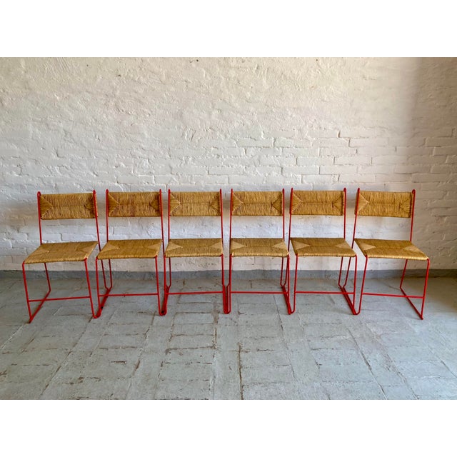 Chairs with Natural Straw Seats from Pirela Atelier, 1970s, Set of 6, in Very Good conditions. Designed 1960 to 1969