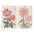 Crimson & Blush Diptych – Vintage Japanese Botanical Prints (Set of 2), 8" X 12" For Sale