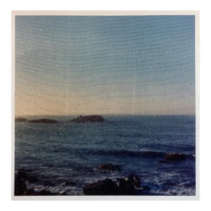 Peter C. Jones 1, Beach Through Screen, Large Format Photo 24X20 Color Photograph Beach House RI, 1999