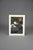 Paper Katsuyuki Nishijima, Deep Green, 1990s, Woodblock For Sale - Image 7 of 12