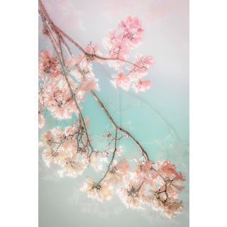 On a CLoud, 60x40 Contemporary, FIne Art Photography by Kristin Hart For Sale