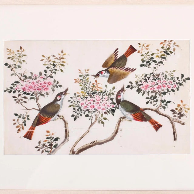 Charming framed and matted antique Chinese painting of birds. Painted on pith paper with gouache in bold colors in a...