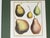 Mid 20th Century Vintage Hand Painted Botanical Lithograph Print Pears - Breant Sculp - L. B. Del - Matted For Sale - Image 5 of 13