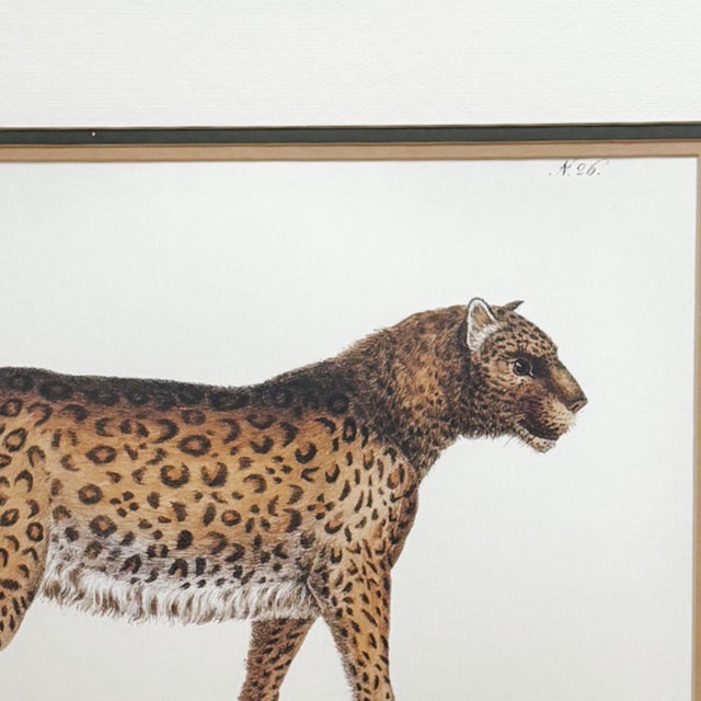 Vintage Framed "Der Panther" Lithograph Style Print in Black Faux Bamboo Frame For Sale - Image 4 of 8