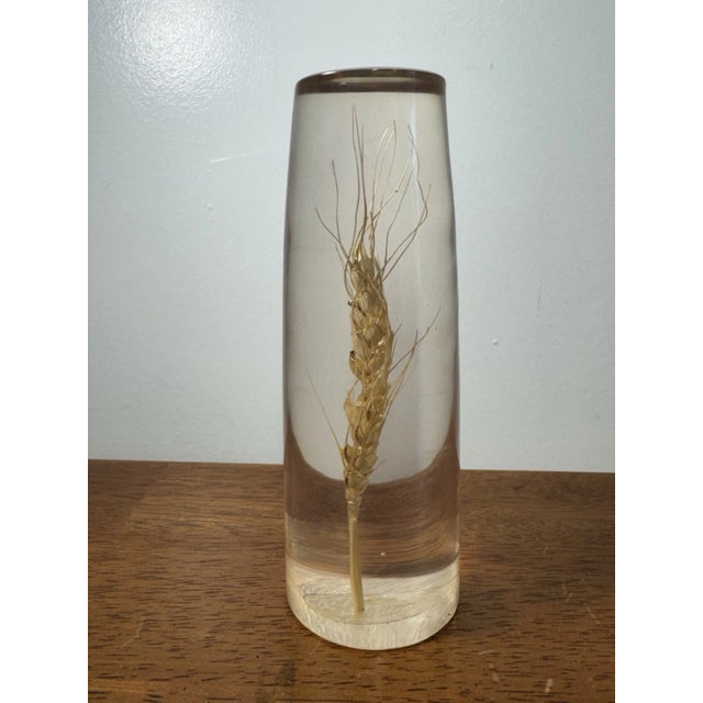 Abstract Vintage Daisyglas Hand Crafted Lucite Resin Wheat Paperweight Decor Campbell Ca For Sale - Image 3 of 11