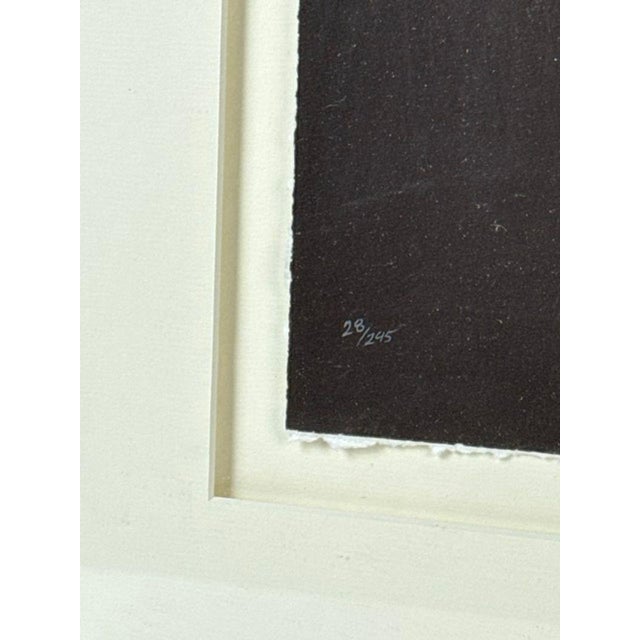 Hollywood Regency 1990s John Matthew Moore "Madonna Tulipa" Signed Framed Limited Edition Print - 28/245 For Sale - Image 3 of 8