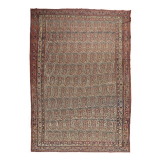 Antique Persian Senneh Rug - 9'3" x 16'9" For Sale