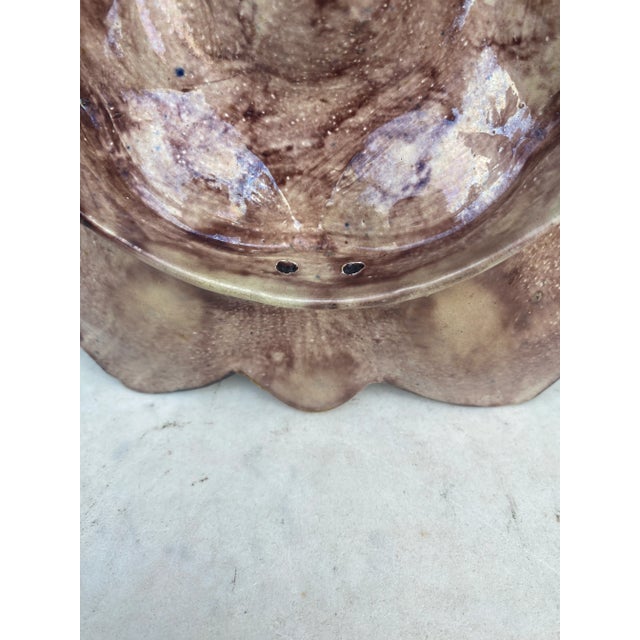 Majolica Palissy Fish Heads Oyster Plate Thomas Sergent, Circa 1880 For Sale In Austin - Image 6 of 6