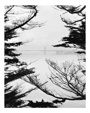 Golden Gate Bridge Lands End - Black and White Landscape Art Photography 2023