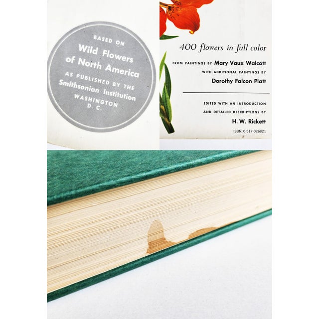 1970s Smithsonian Edition "Wildflowers of America" Coffee Table Book For Sale - Image 11 of 11