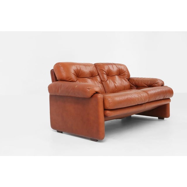 Animal Skin Brown Leather Coronado 2-Seater Sofa by Tobia Scarpa for B&B Italia, Italy, 1960s For Sale - Image 7 of 18