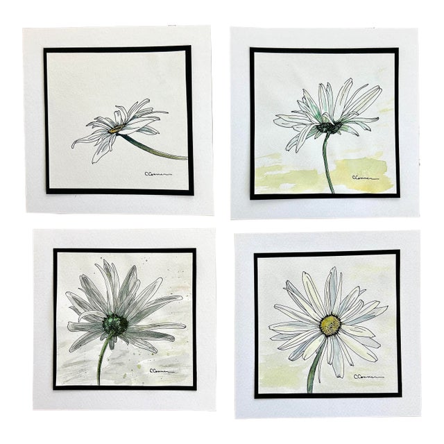 1990s Set of 4 Prints of Watercolor and Ink Drawings 4 White Daisies For Sale