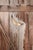 Antique Outhouse Door With a Crescent Moon For Sale - Image 9 of 10