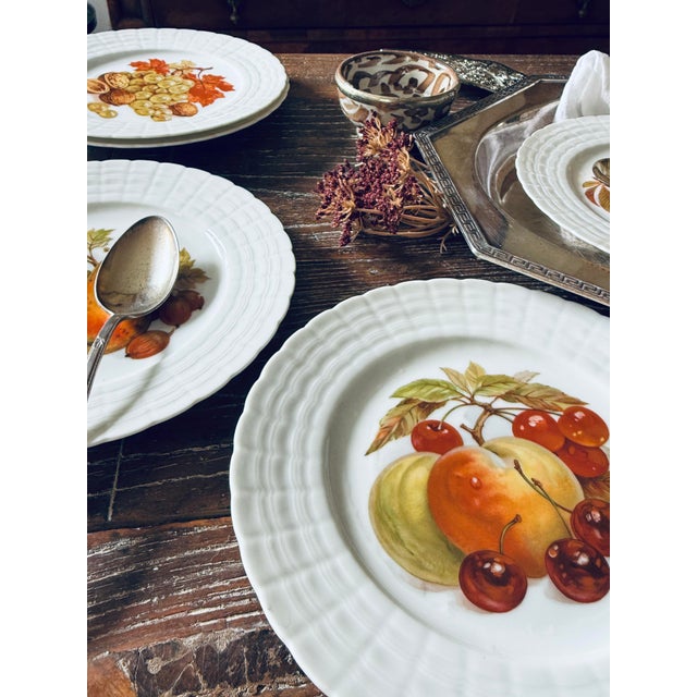 Vintage Hutschenreuther German Fruit Plates – Set of 6 For Sale - Image 10 of 12