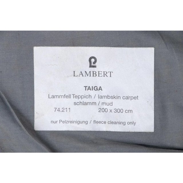 Brown Lambswool Rug fromTaiga Lambert, Germany, 1970s For Sale - Image 8 of 10