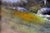 Early 20th Century Tonalist Pastel Landscape by William Henry Chandler For Sale - Image 4 of 6