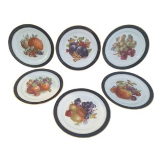 1970s Heinrich Germany Fruit Motif Dessert/Display Plates, Set of 6 For Sale