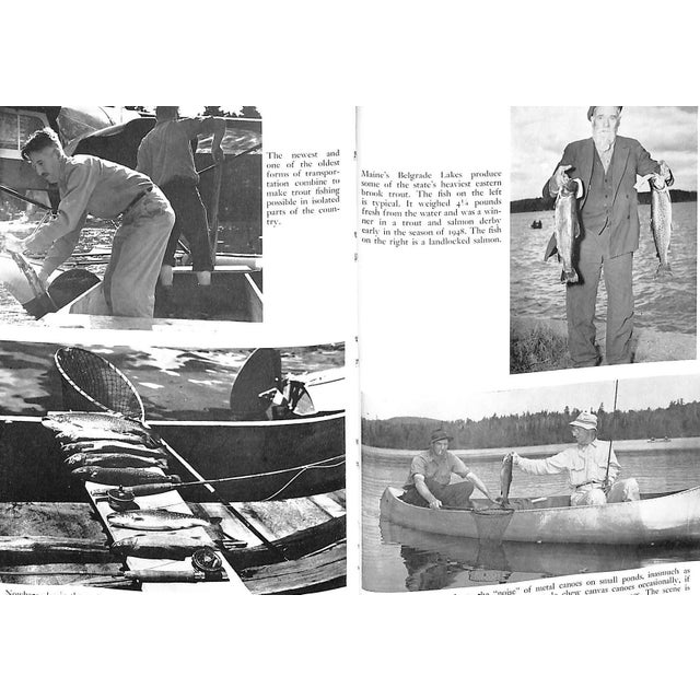 White "All About Brook Trout From Maine to California" 1954 Elliot, Bob For Sale - Image 8 of 9