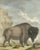 After Jacques de Sève, Bison Portrait, Hand-Coloured Print, 1769 For Sale - Image 6 of 10