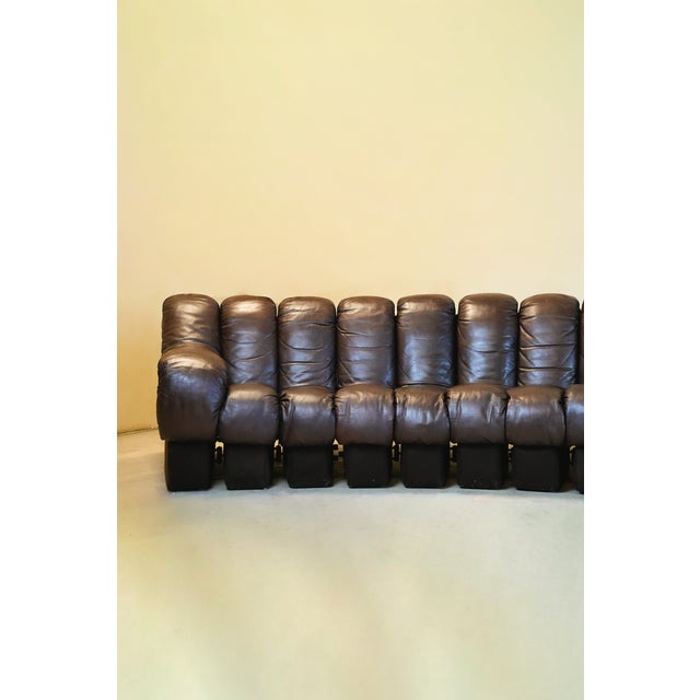 DS600 Non-Stop Snake Sofa in Brown Leather by Ueli Berger for de Sede, 1970s, Set of 16 For Sale - Image 15 of 18