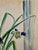 Rustic Emil Salloch Original Watercolor on Paper Indoor Still Life Featuring Irises in a Glass Vase, 1945. For Sale - Image 3 of 7