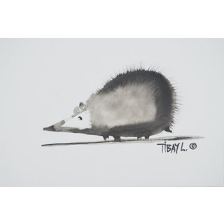 Laszlo Tibay, L'hérisson, Ink & Wash Drawing For Sale