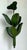 Vintage Green Banana Leaf Six Arm Chandelier For Sale - Image 11 of 12