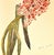 1940 Set of 3 Mid-Century French Arlette Davids Botanical Prints- Hyacinths, Lily For Sale - Image 10 of 10