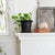 This mid-19th-century heavy black cast-iron mortar is ready to repurpose as a jardinière, planter, or catchall for other...