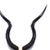 Contemporary Natural Kudu Horn - V Skull For Sale - Image 3 of 4