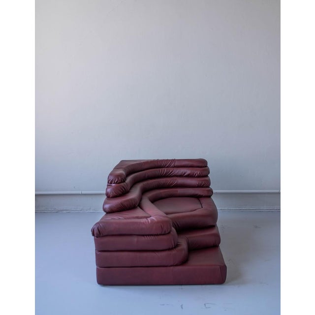 Animal Skin Terrazza Landscapes in Burgundy Leather by Ubald Klug for de Sede, 1970s, Set of 4 For Sale - Image 7 of 18